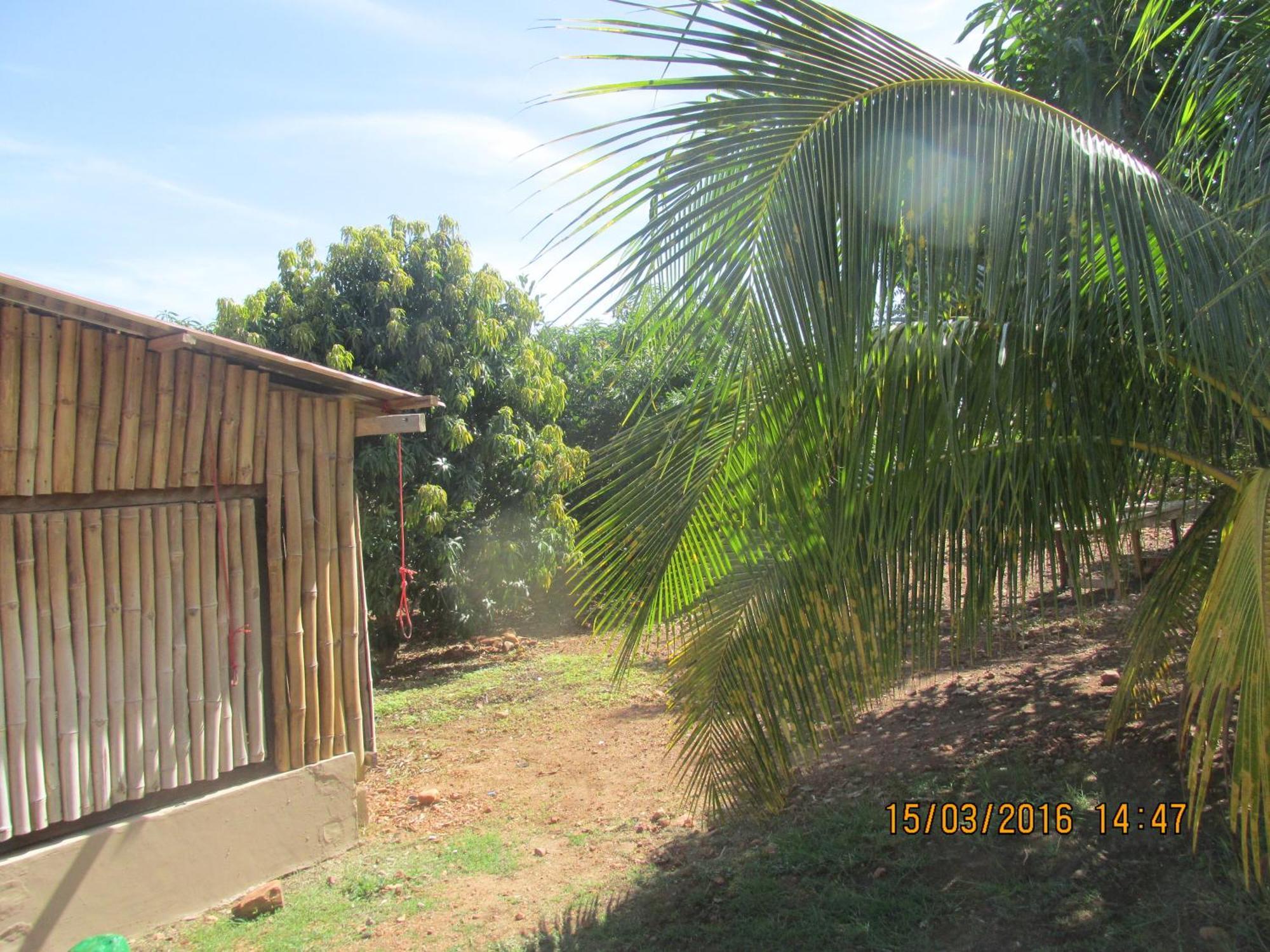 Jamaica Inn Guest House Botianaw ภายนอก รูปภาพ